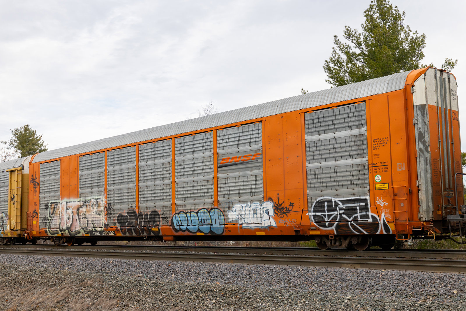 TTGX 696192