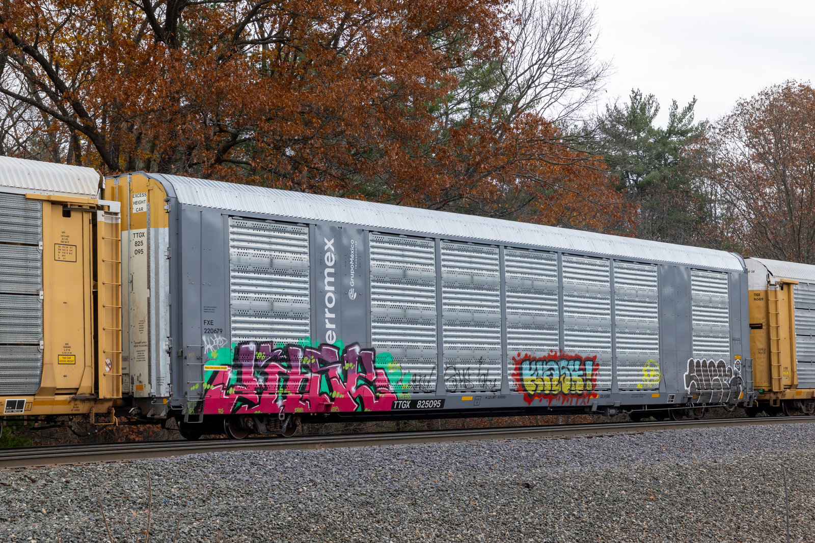 TTGX 825095