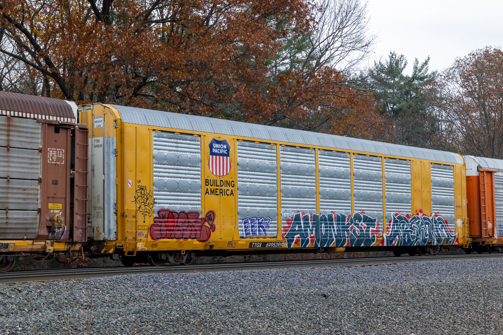 TTGX 699539