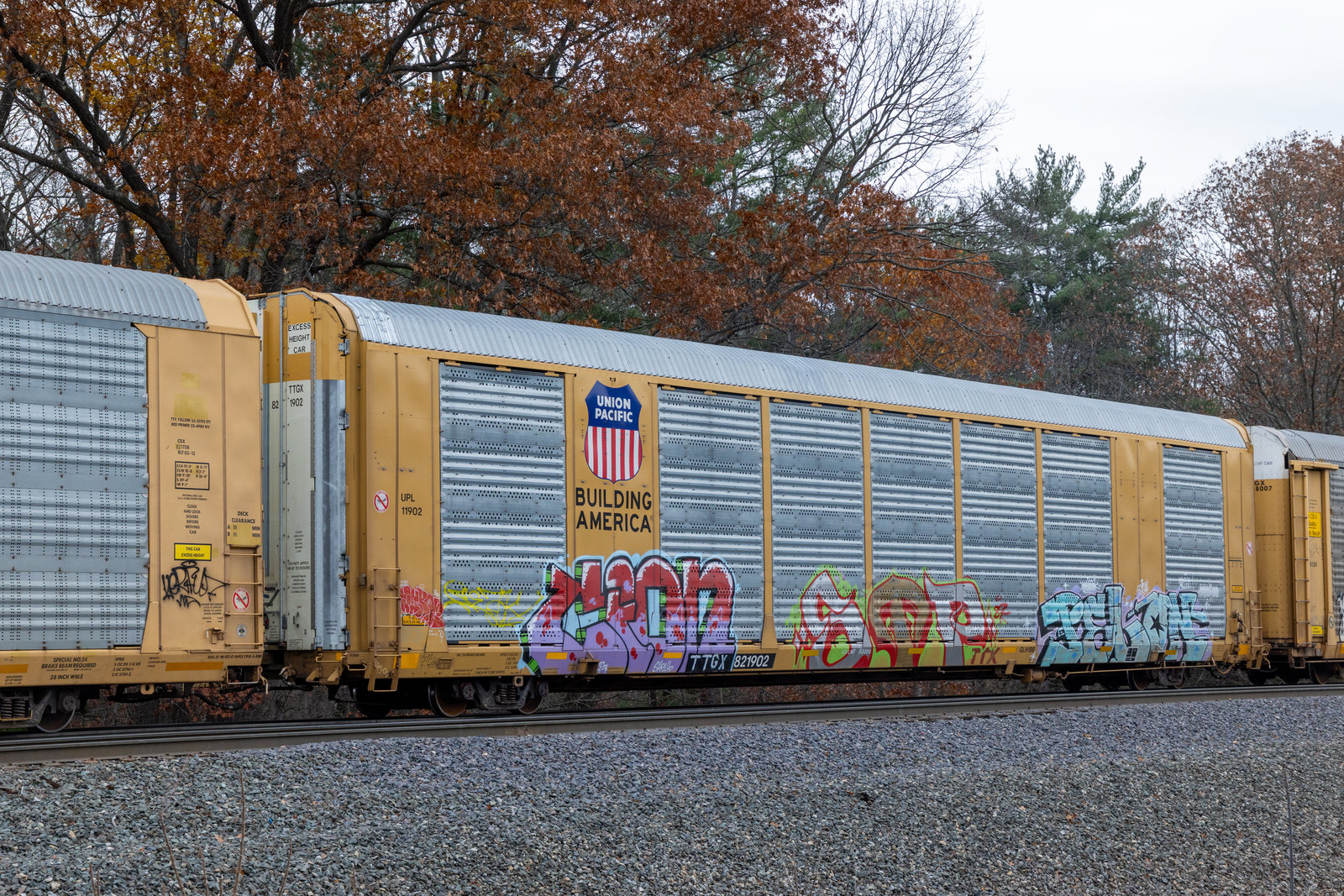 TTGX 821902