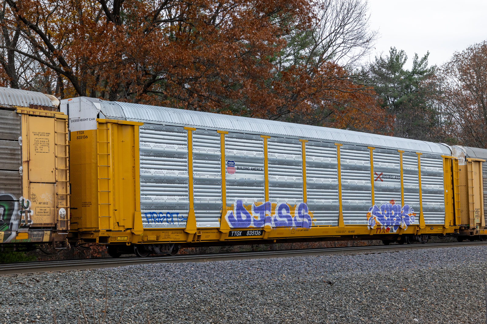 TTGX 835136