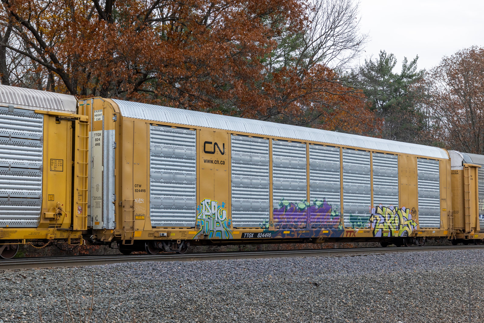 TTGX 824498