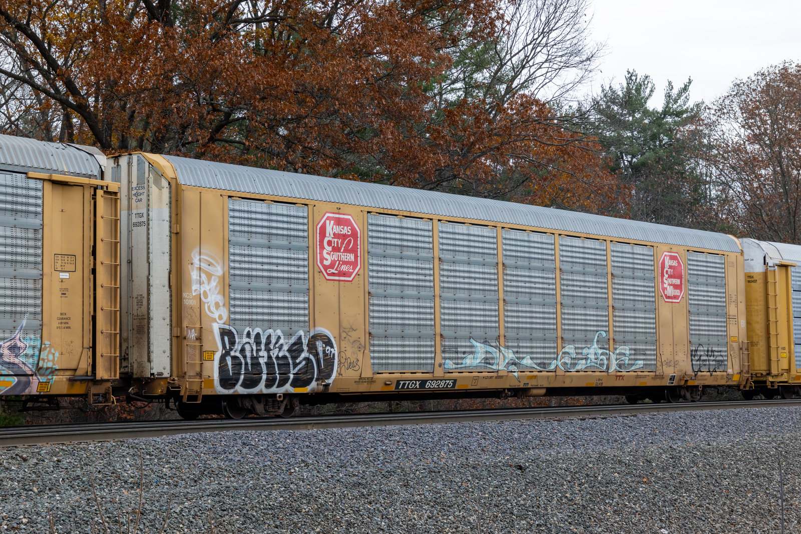 TTGX 692875