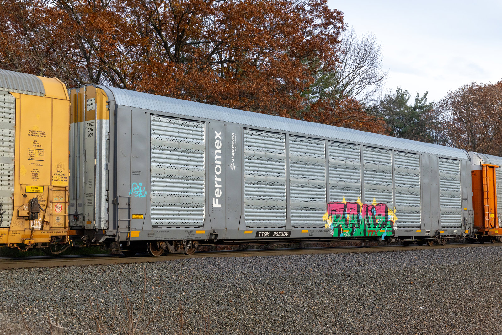 TTGX 825309