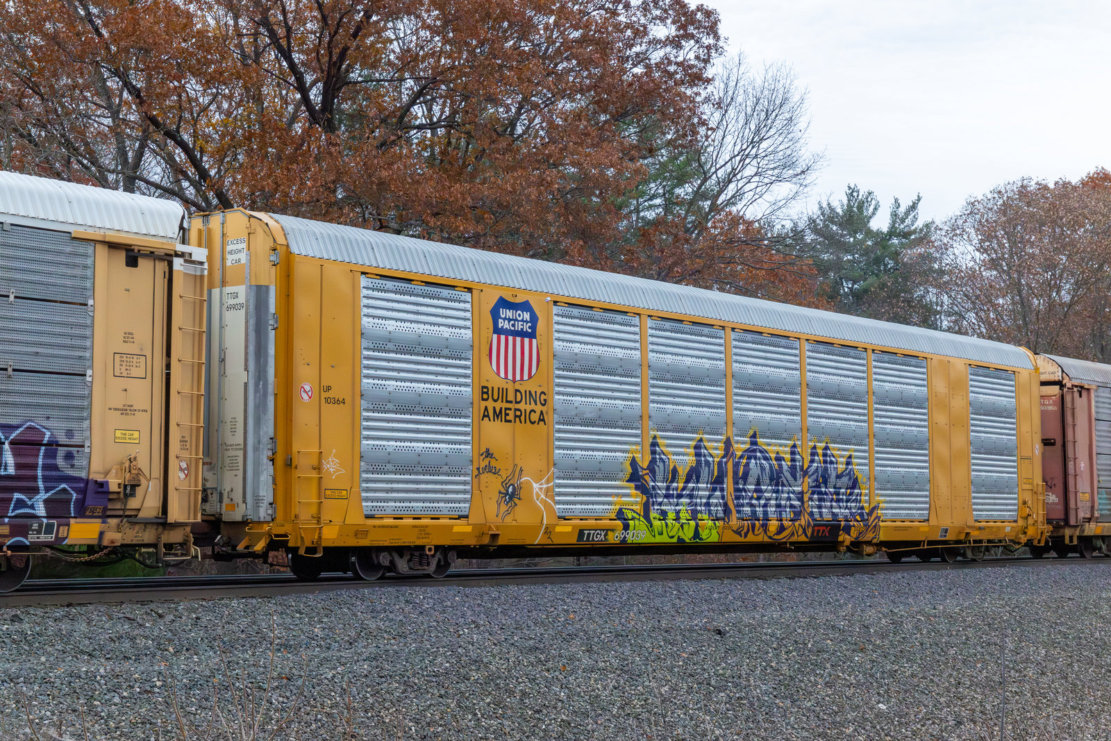 TTGX 699039