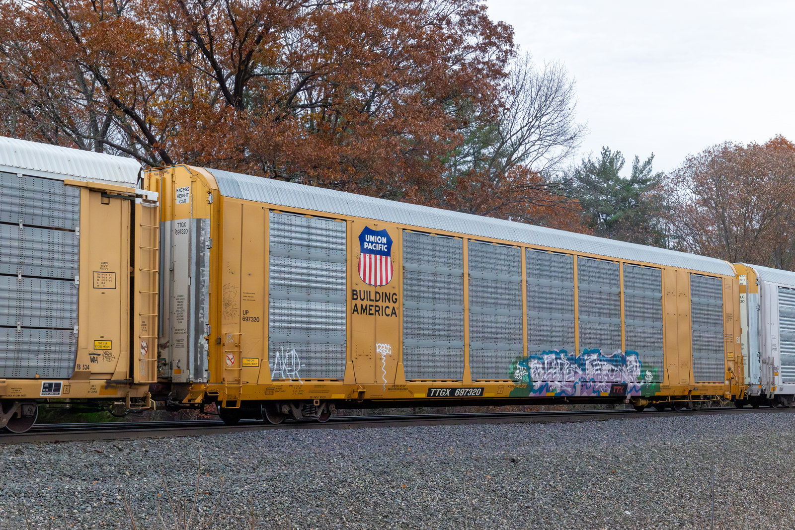 TTGX 697320