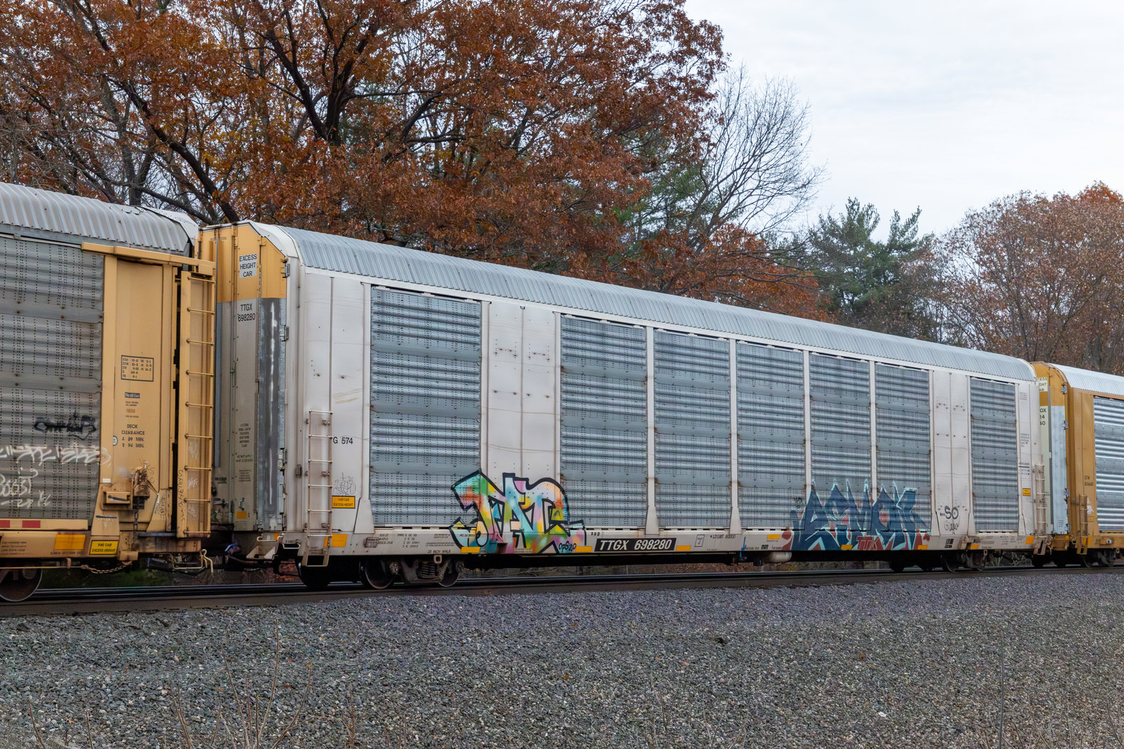 TTGX 698280