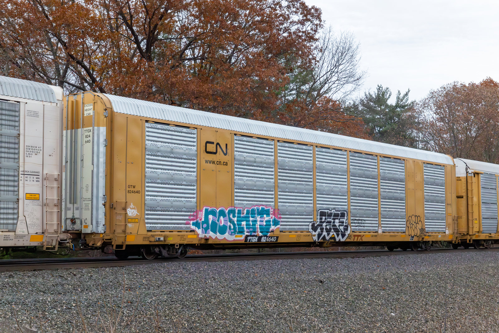 TTGX 824640