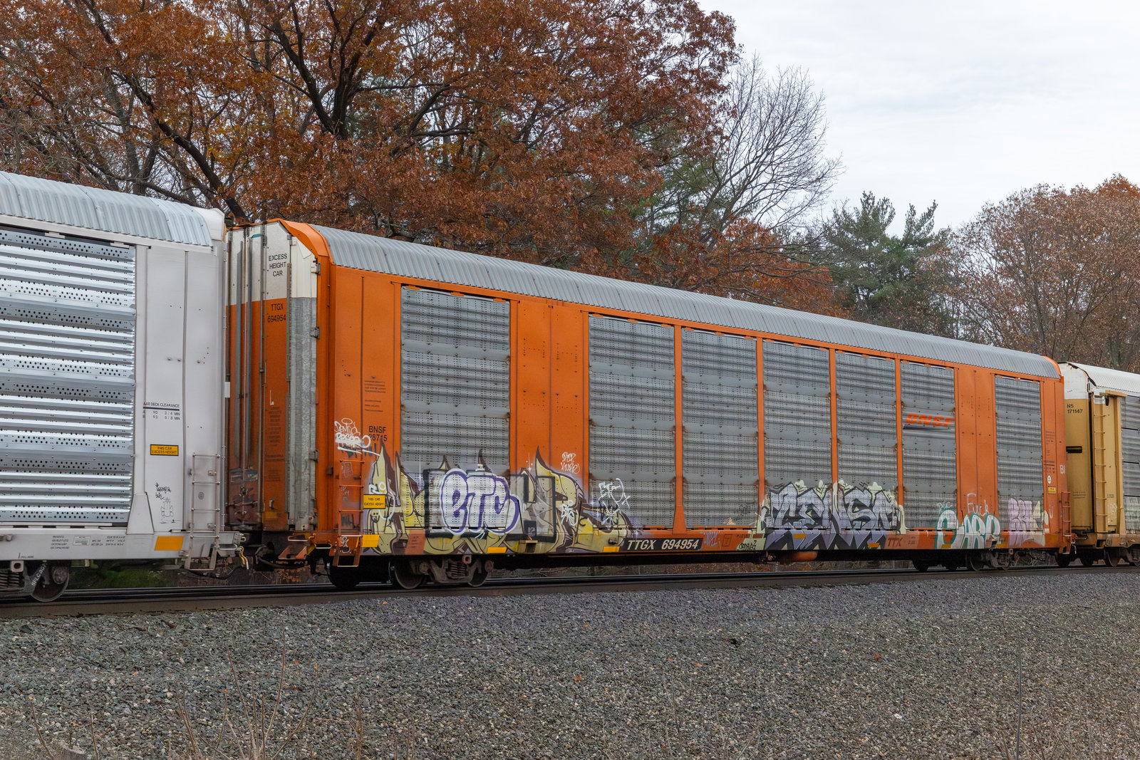 TTGX 694954