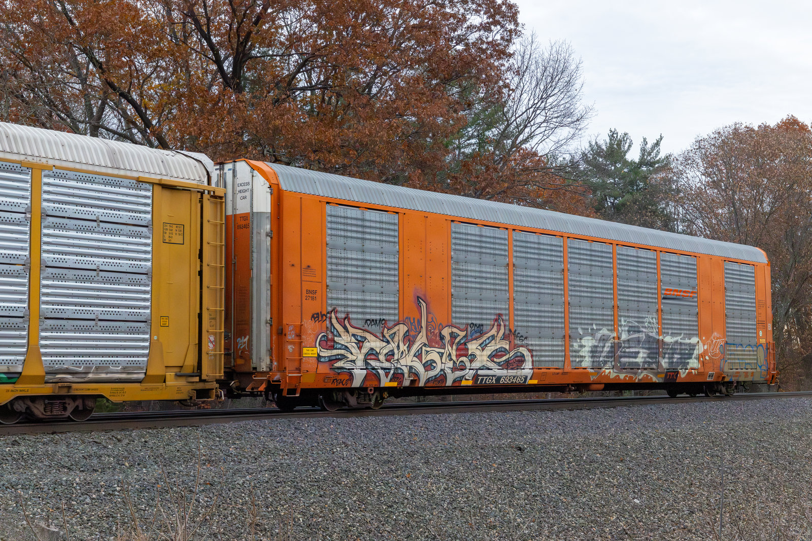 TTGX 693465