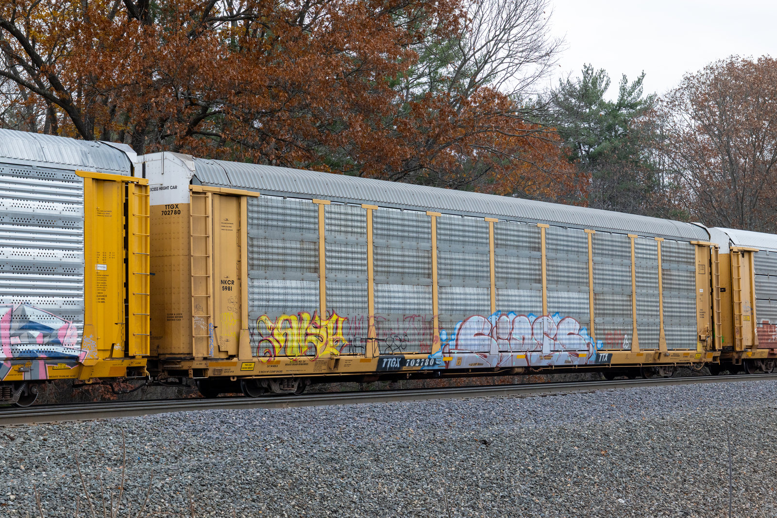 TTGX 702780
