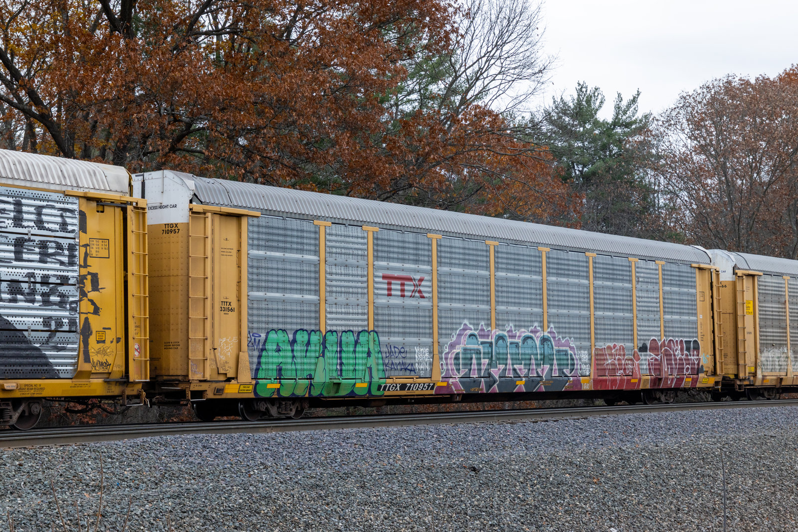 TTGX 710957