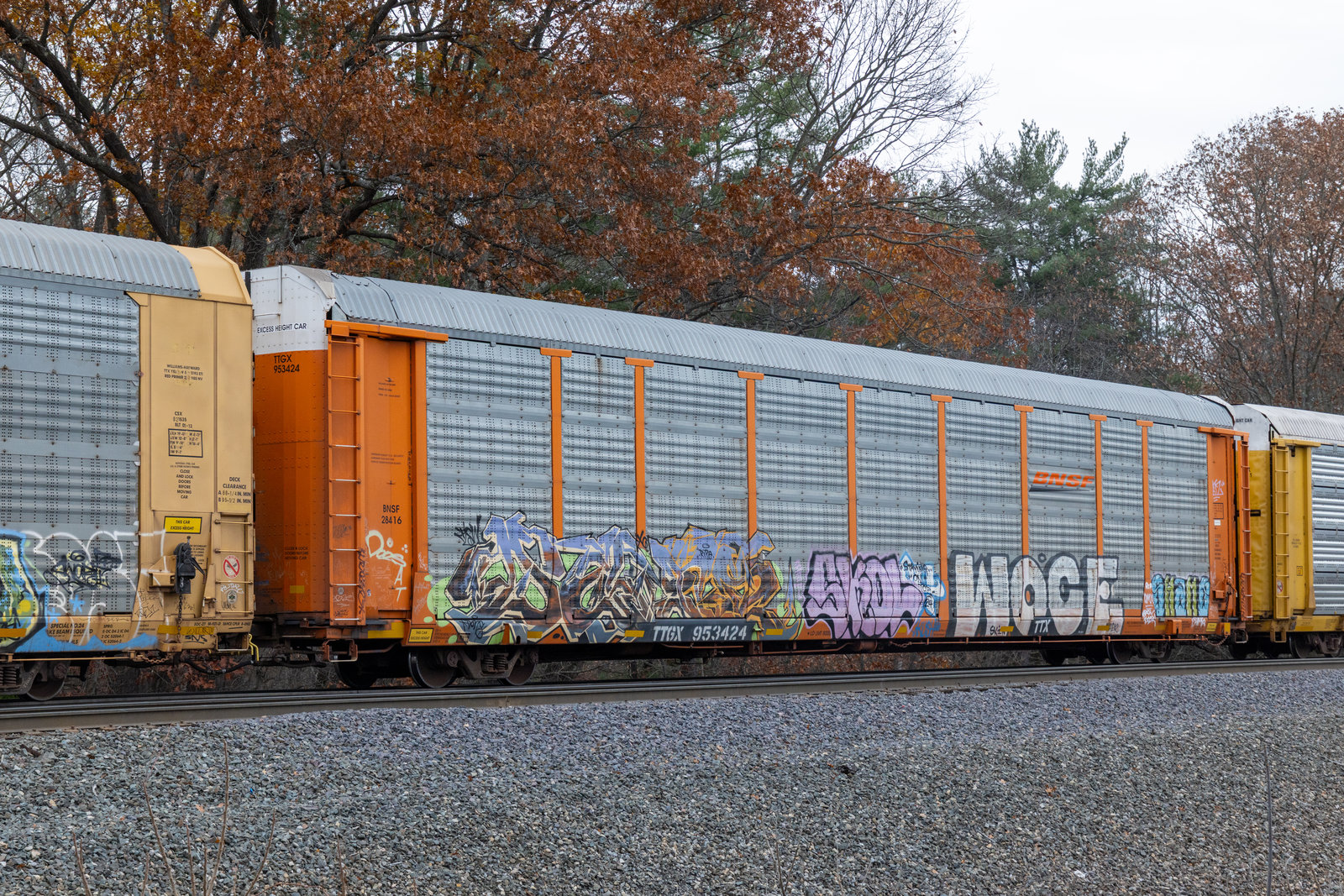 TTGX 953424