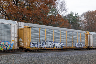TTGX 702340