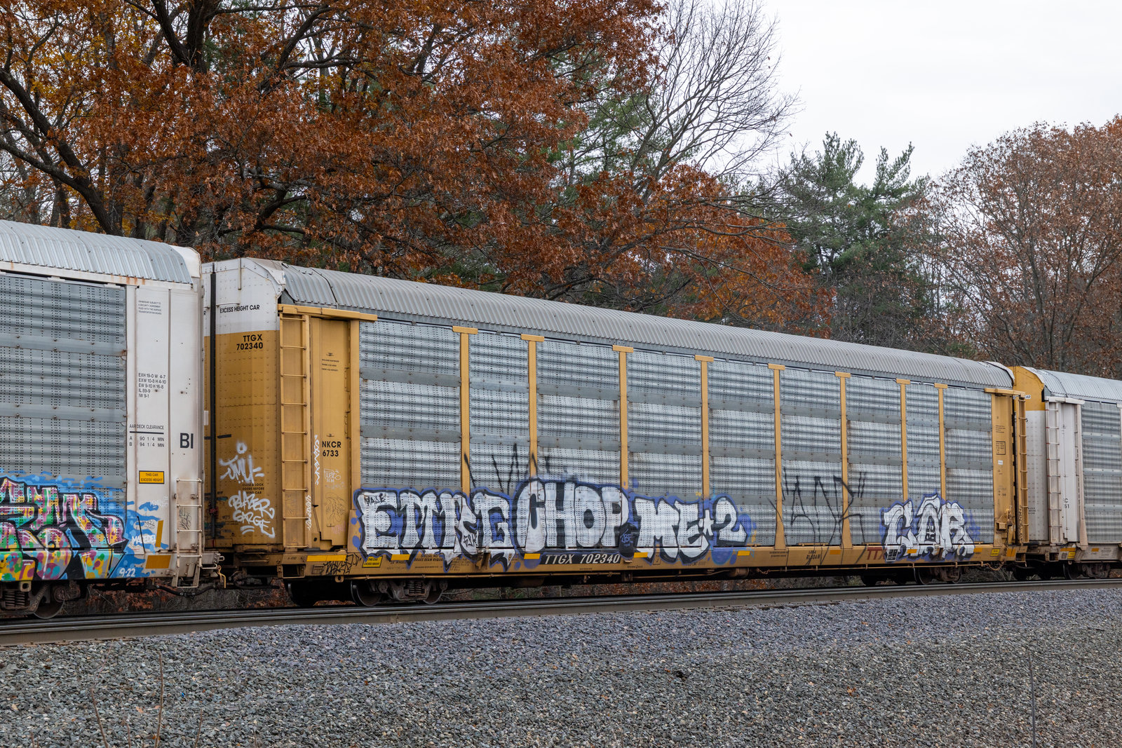 TTGX 702340