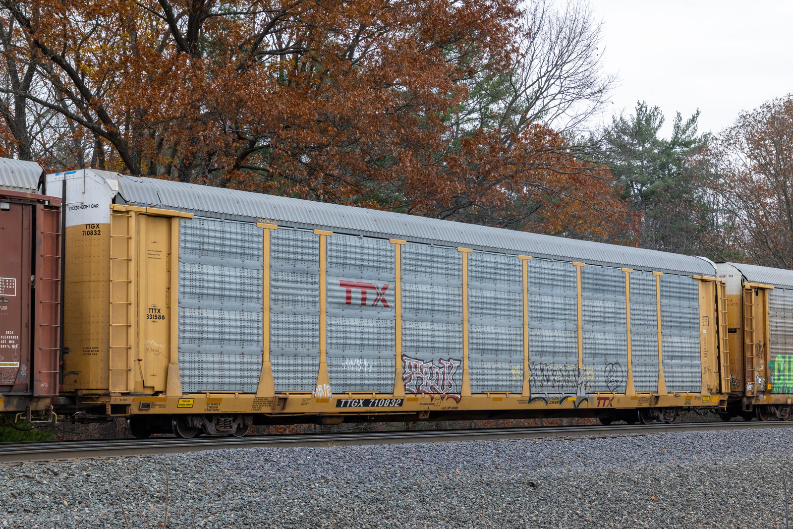TTGX 710832