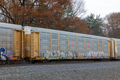 TTGX 990965