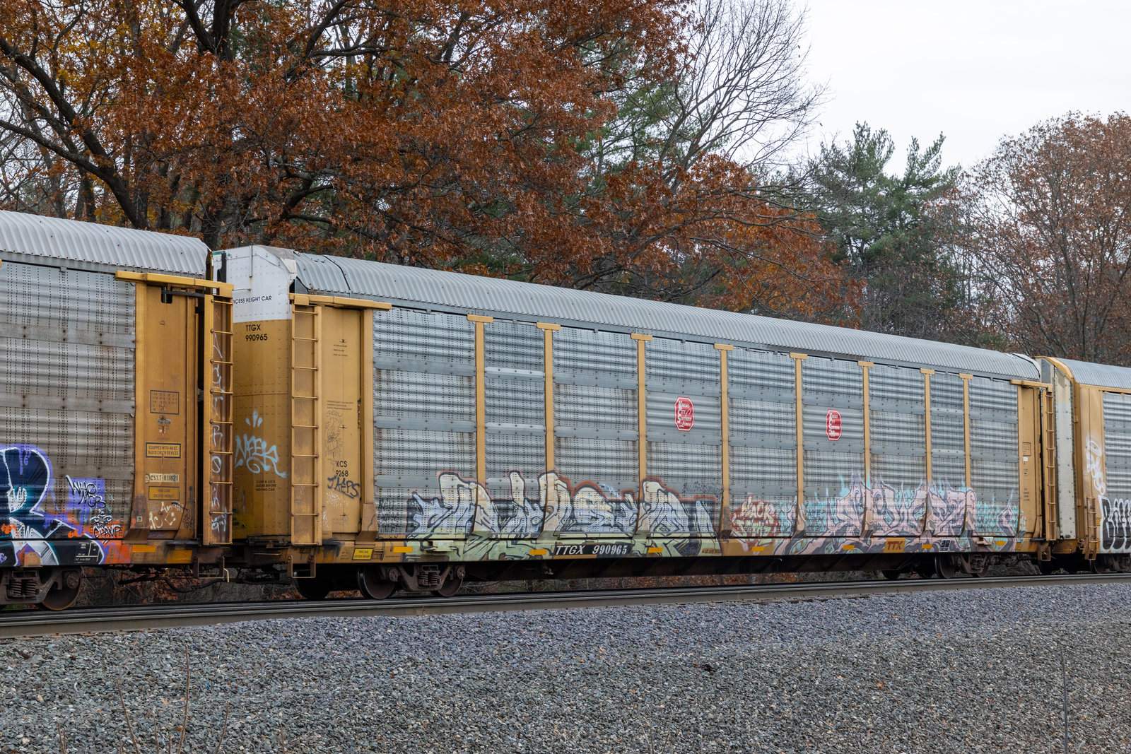 TTGX 990965