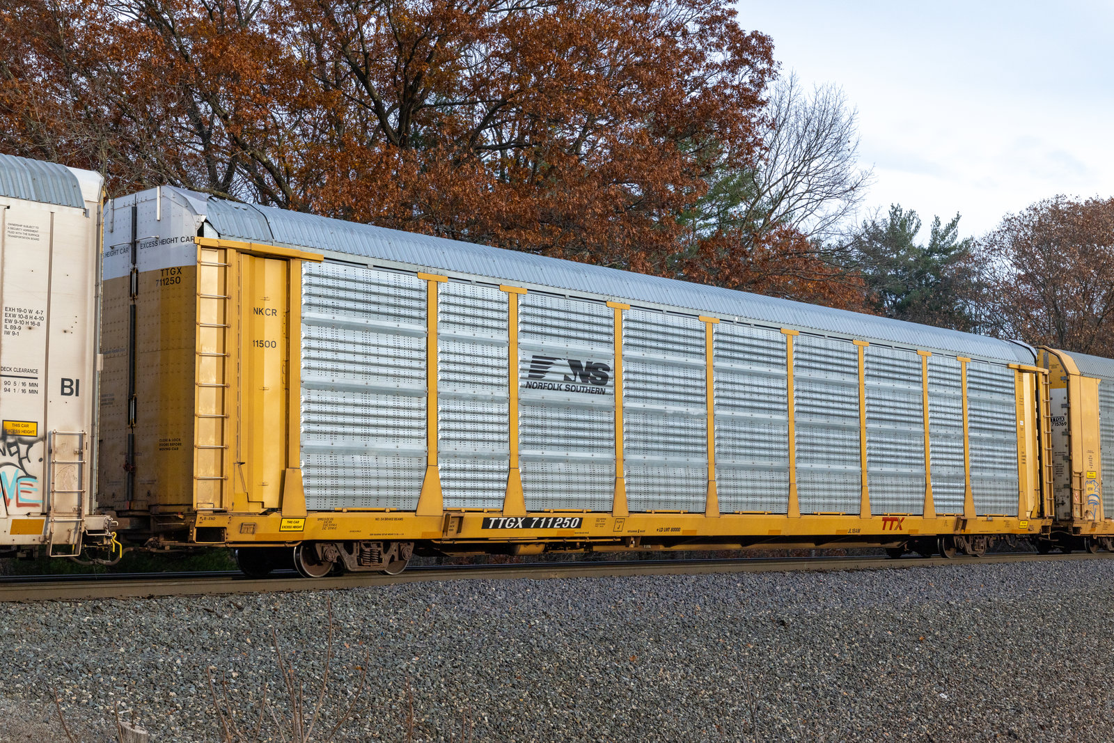 TTGX 711250