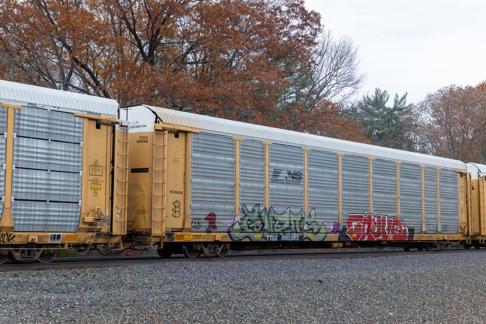 TTGX 980265