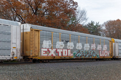 TTGX 704833