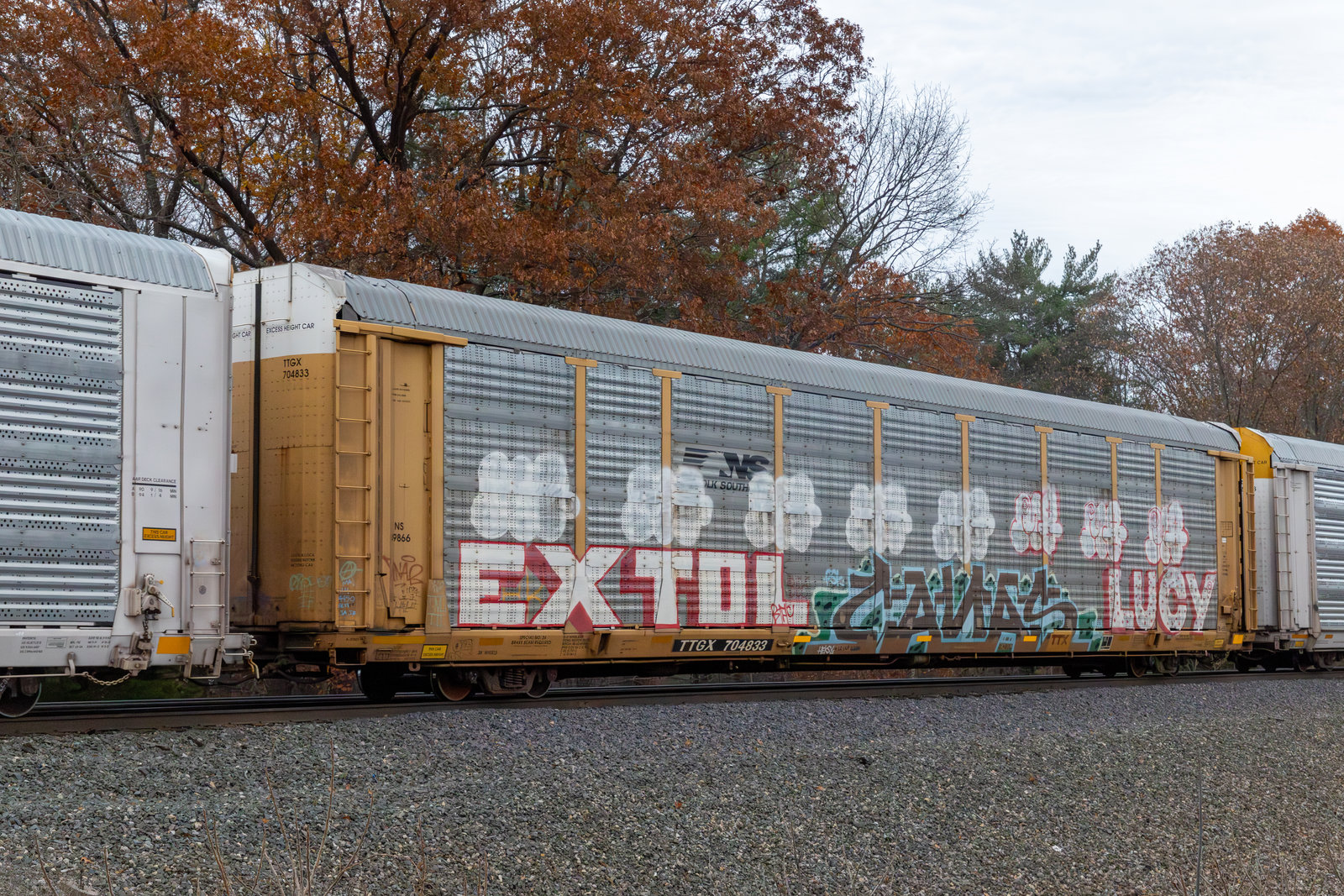 TTGX 704833