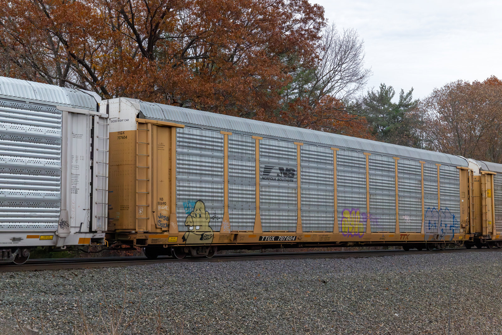 TTGX 707604