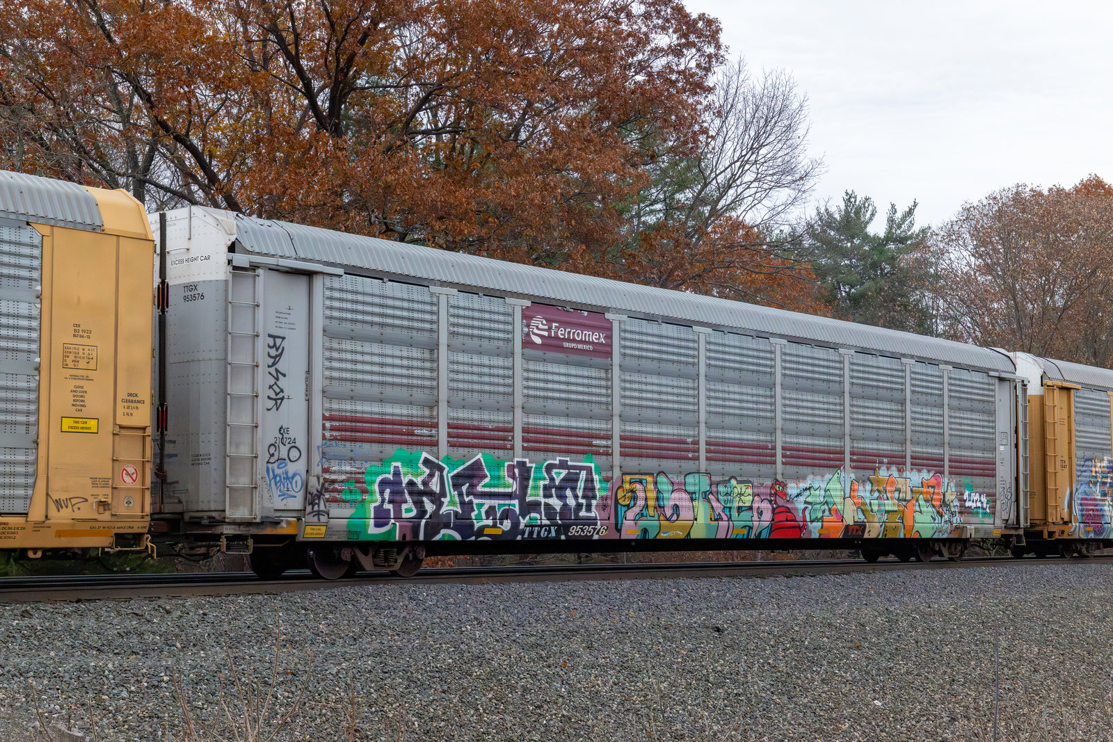 TTGX 953576