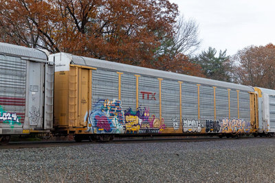 TTGX 710688