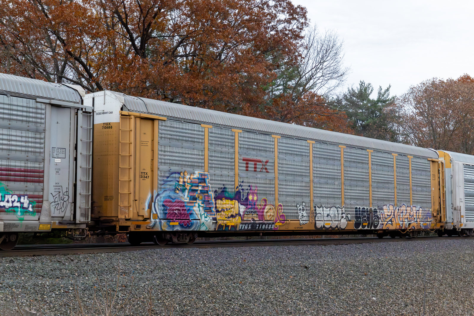 TTGX 710688