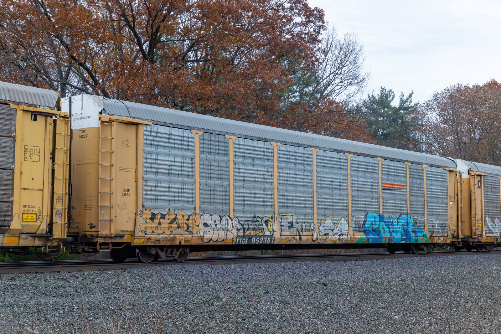 TTGX 952351