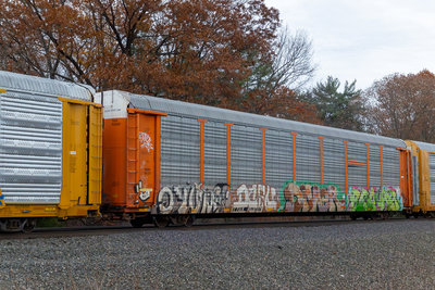 TTGX 953237