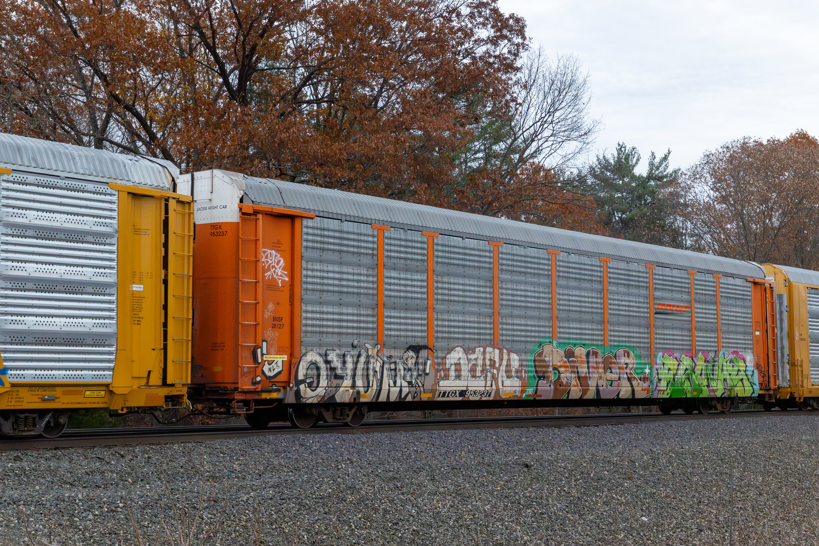 TTGX 953237