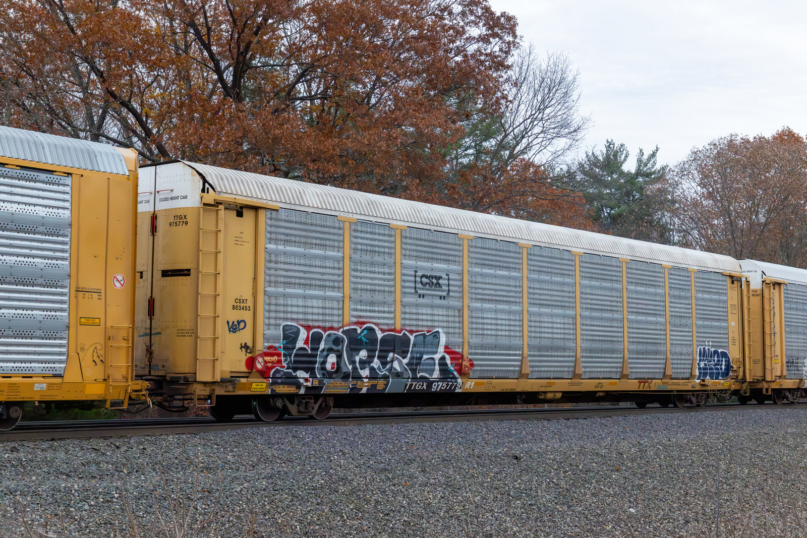 TTGX 975779