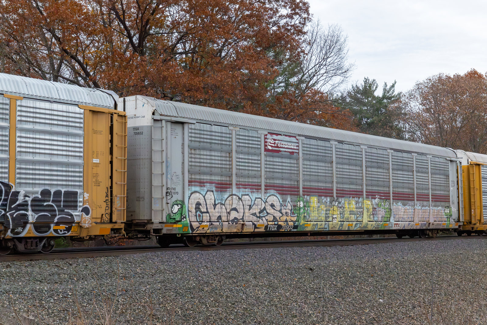 TTGX 705832