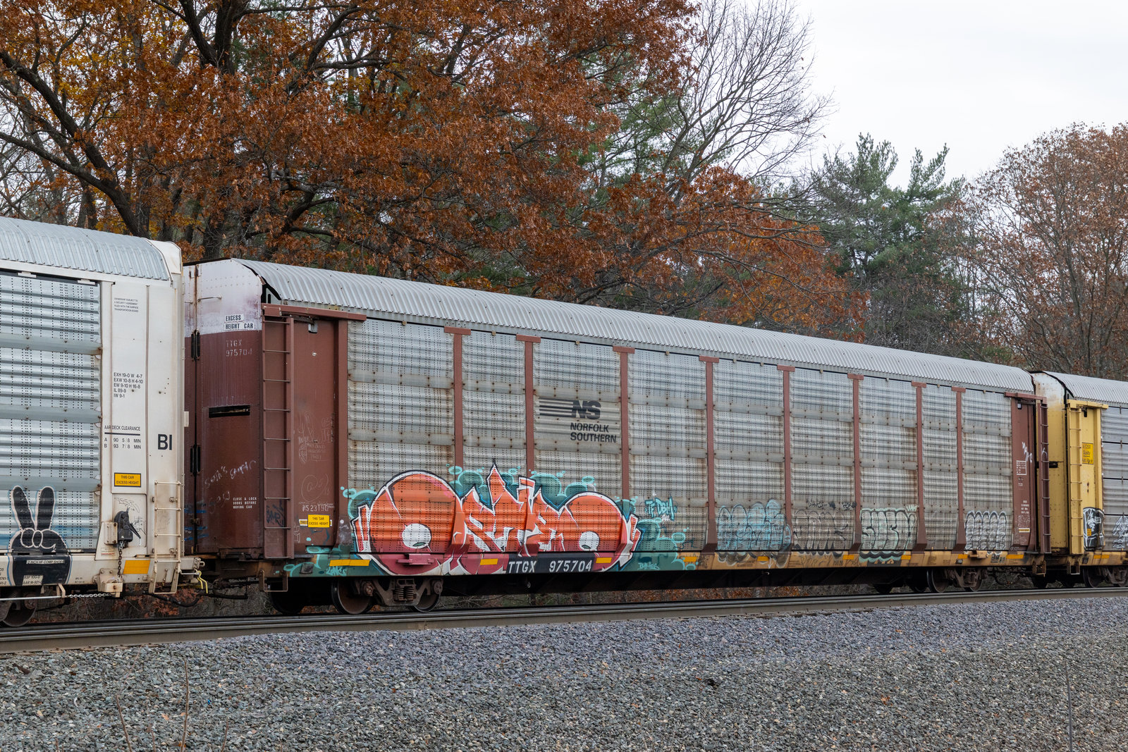 TTGX 975704