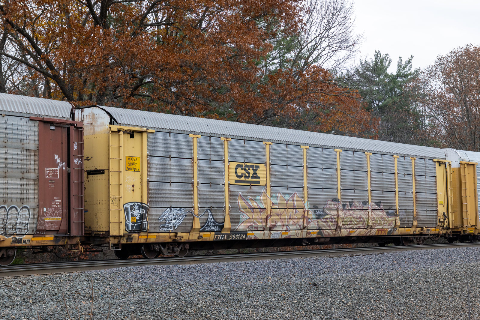 TTGX 993124