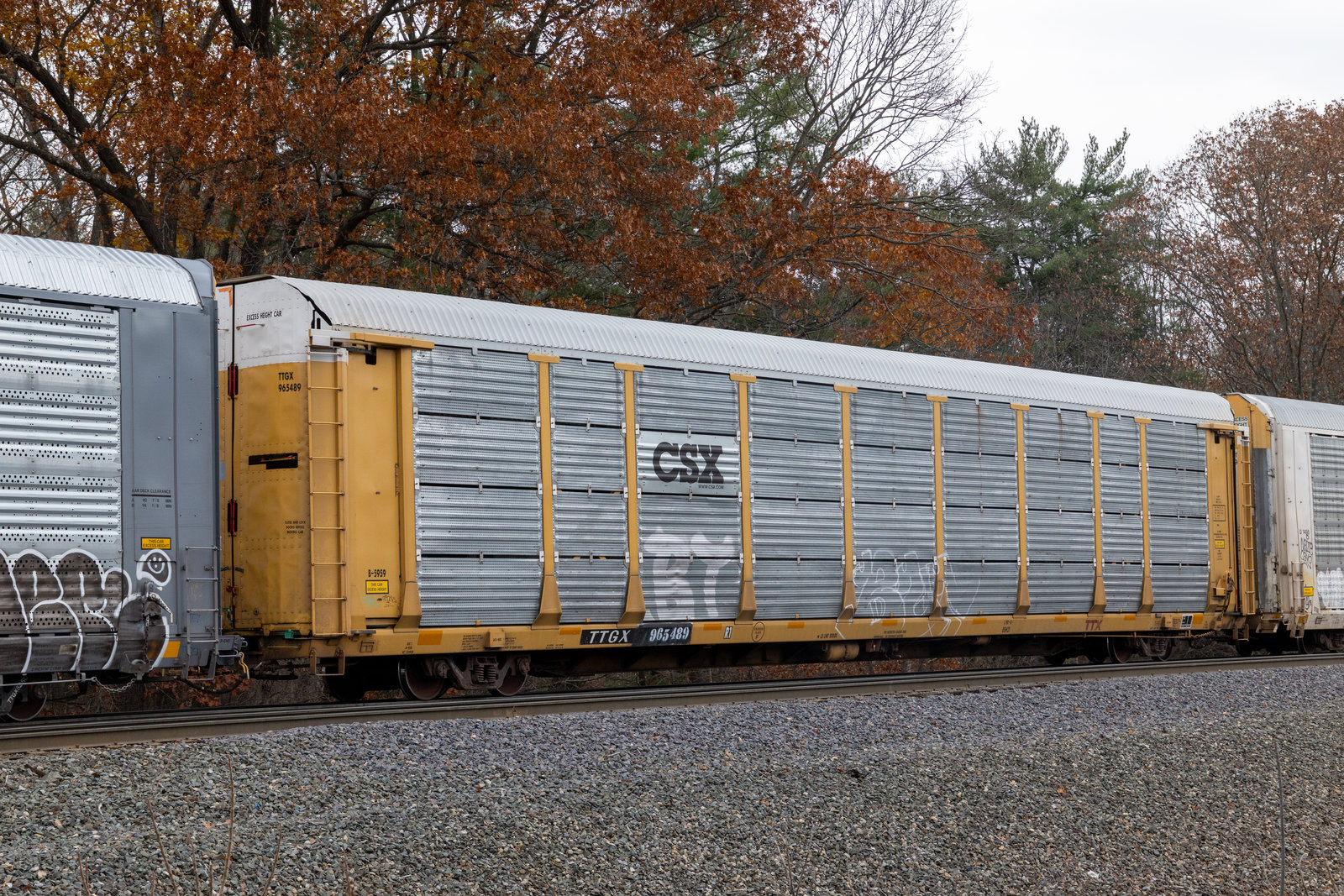 TTGX 965489