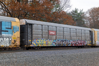 TTGX 983084