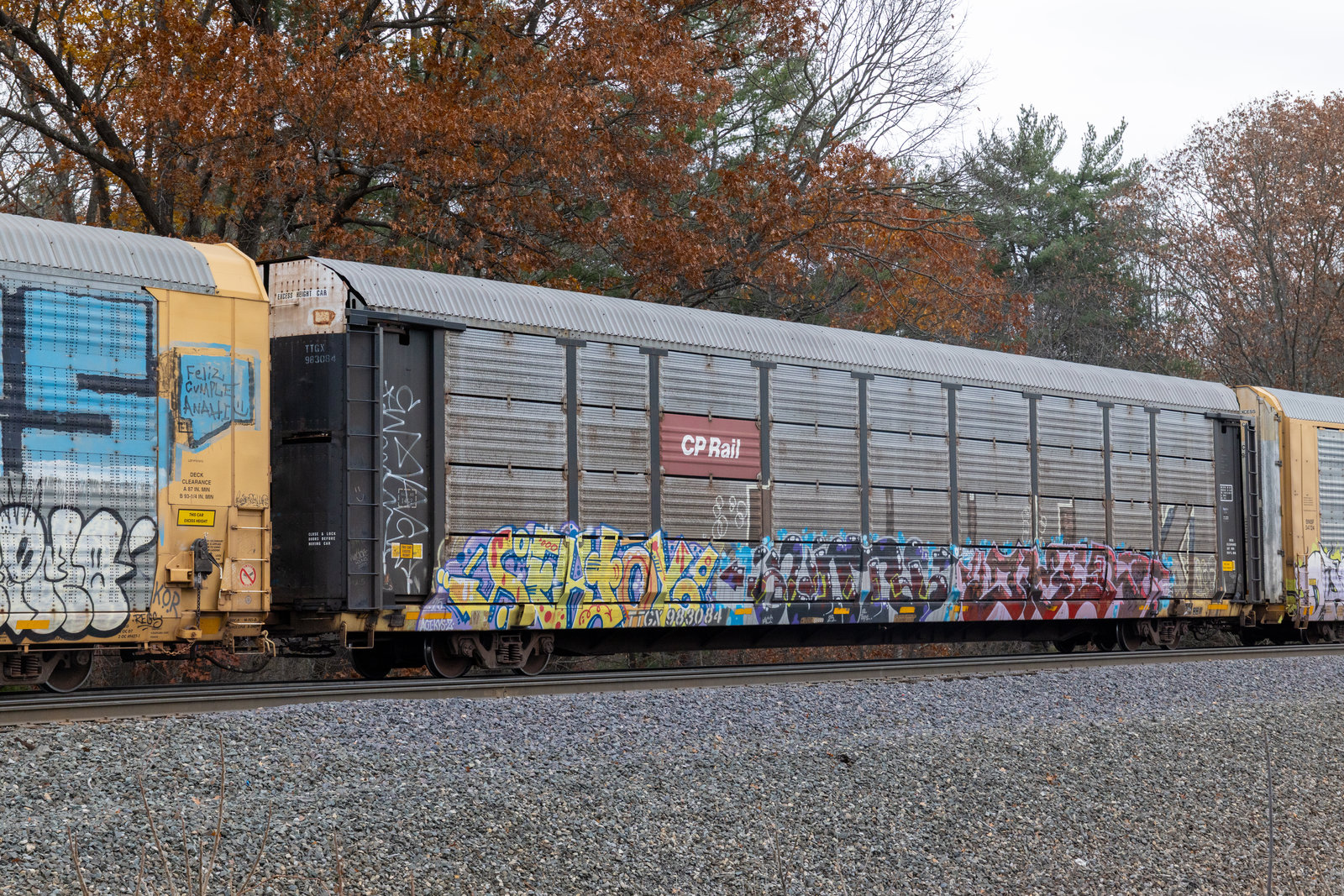 TTGX 983084