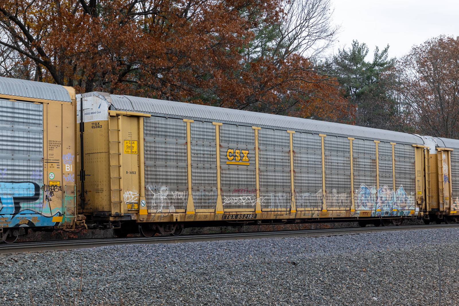 TTGX 952182