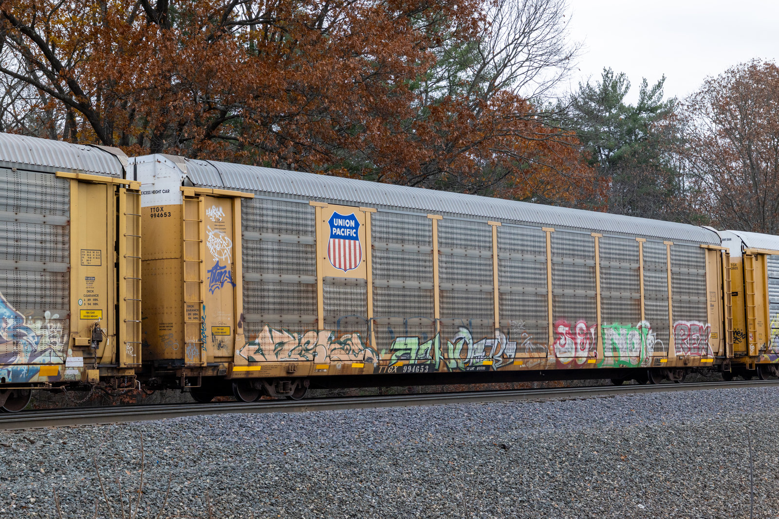 TTGX 994653
