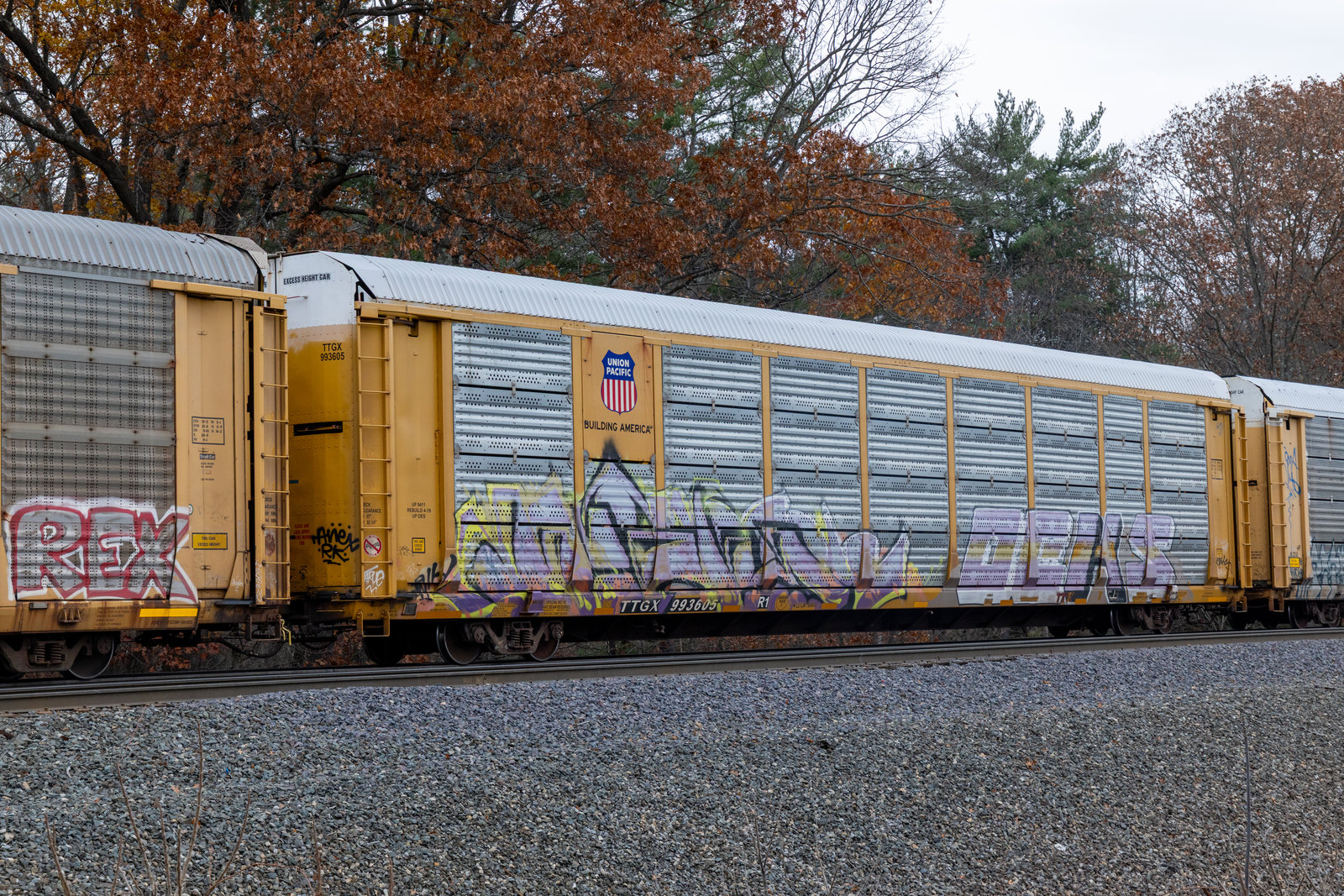 TTGX 993605