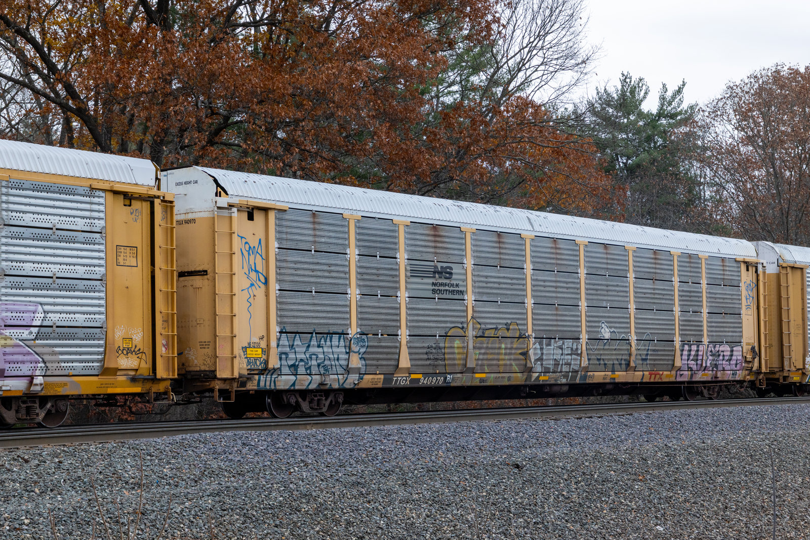 TTGX 940970