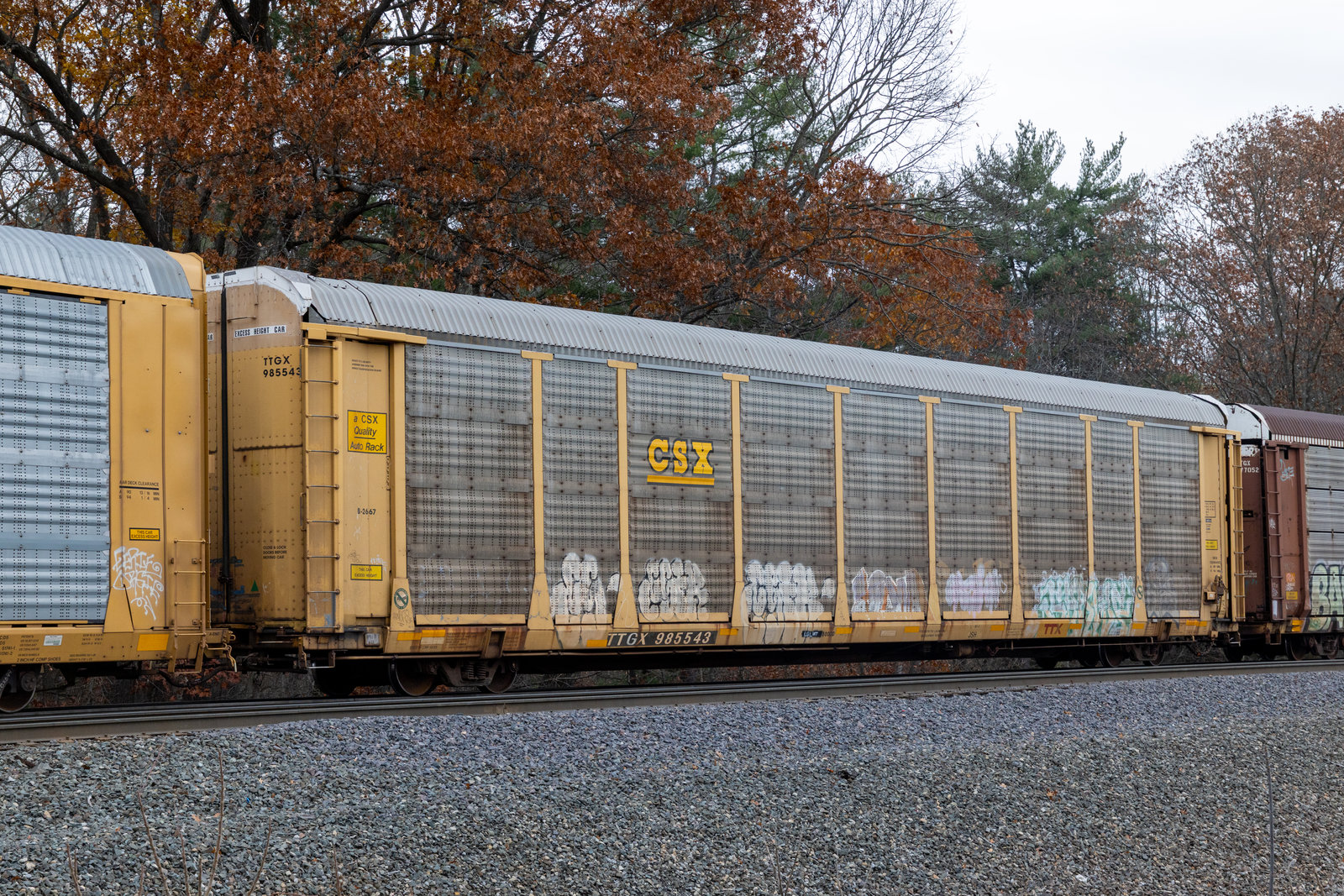 TTGX 985543