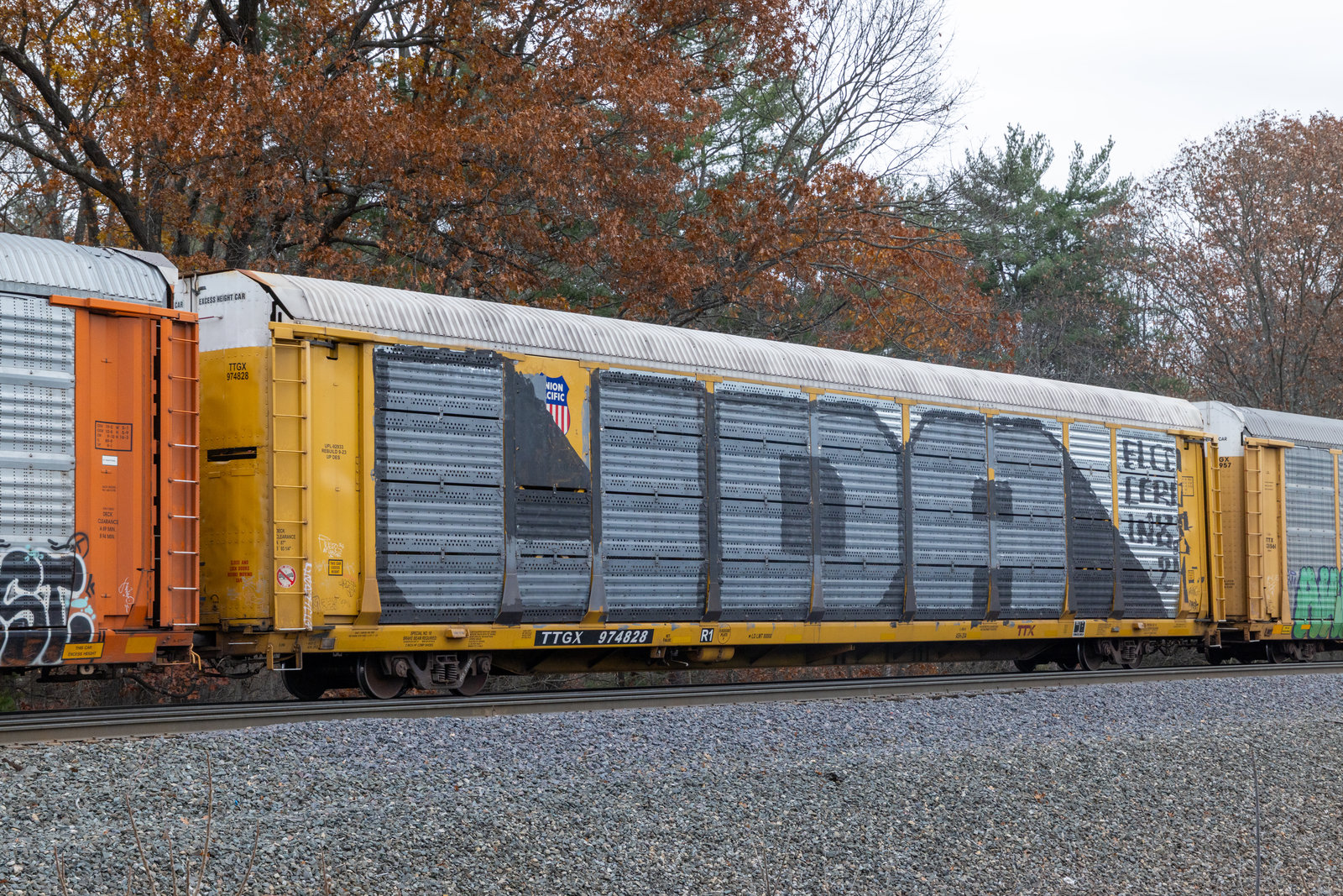 TTGX 974828