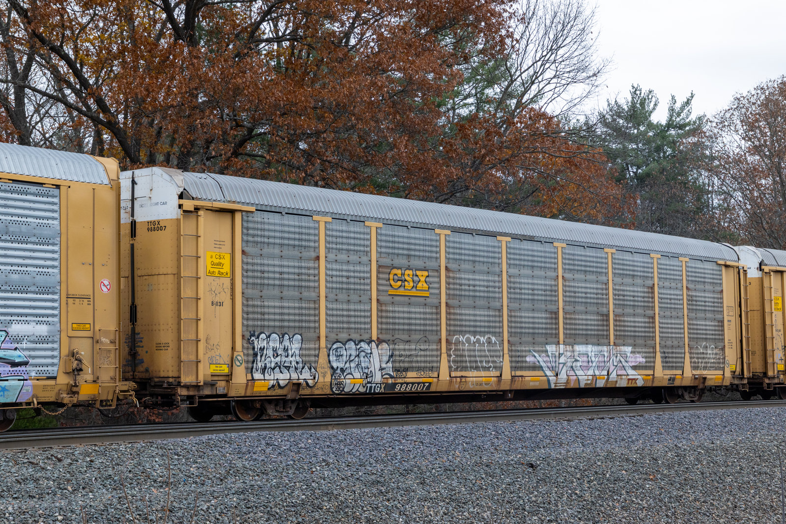 TTGX 988007