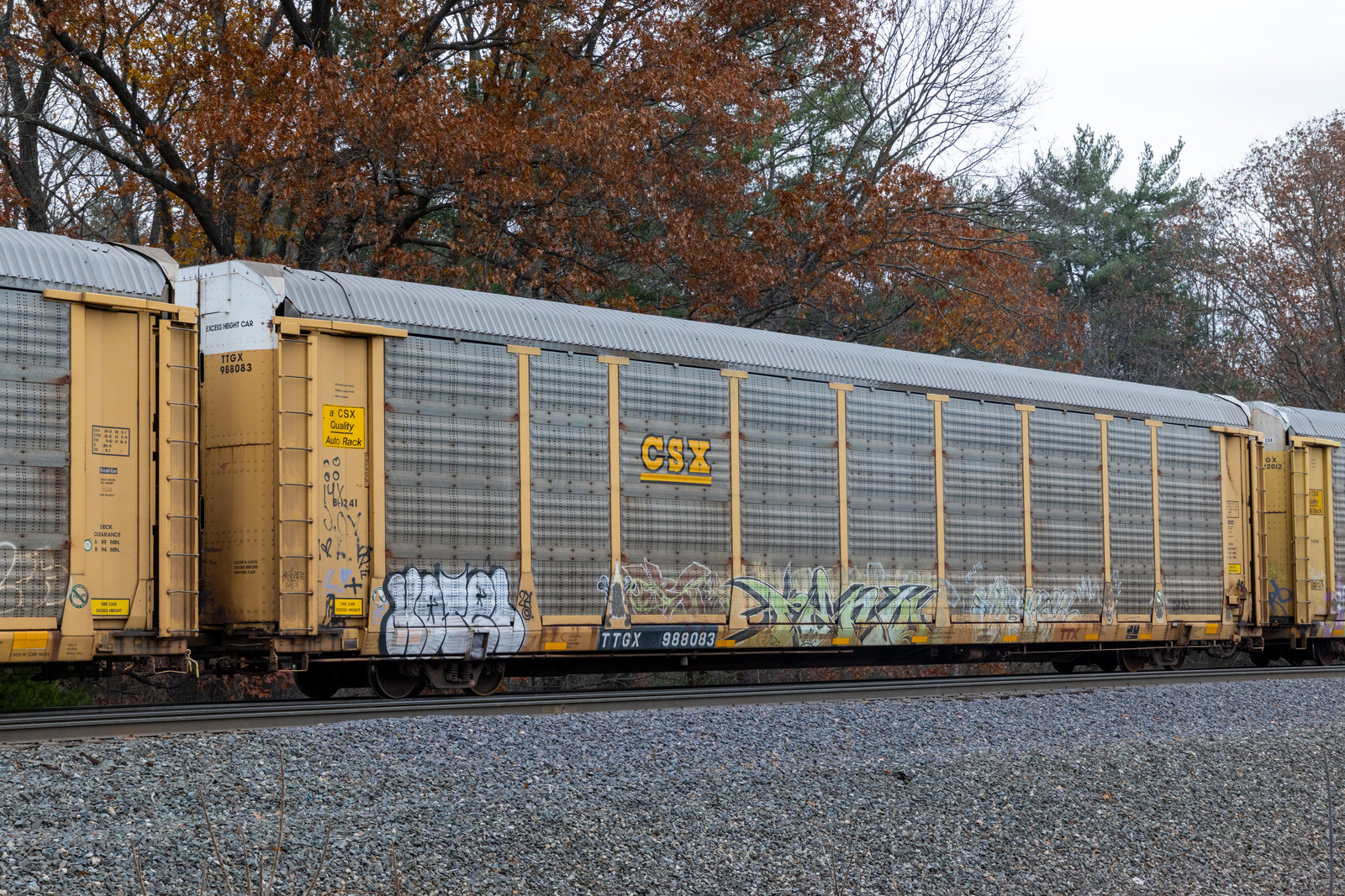 TTGX 988083