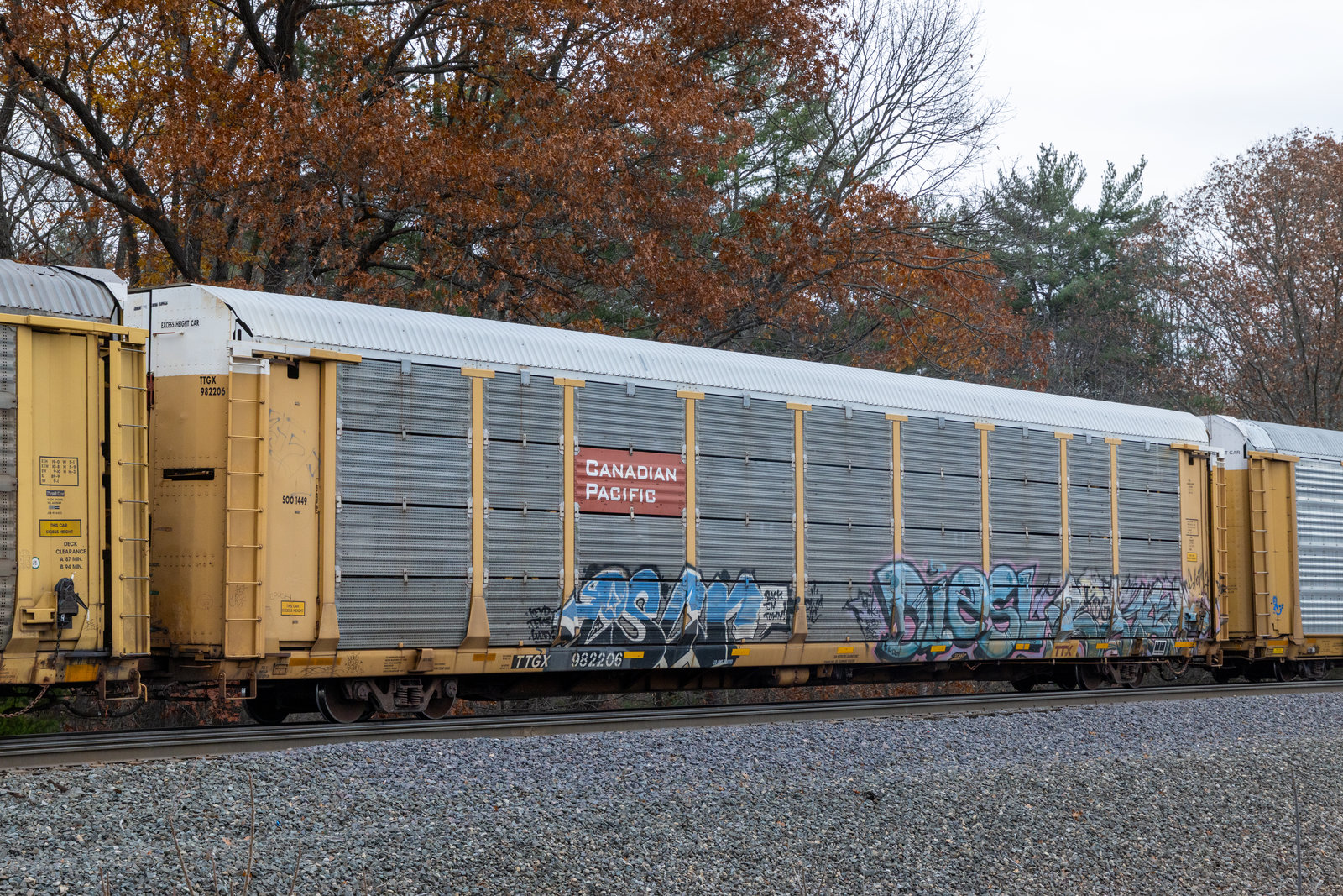 TTGX 982206