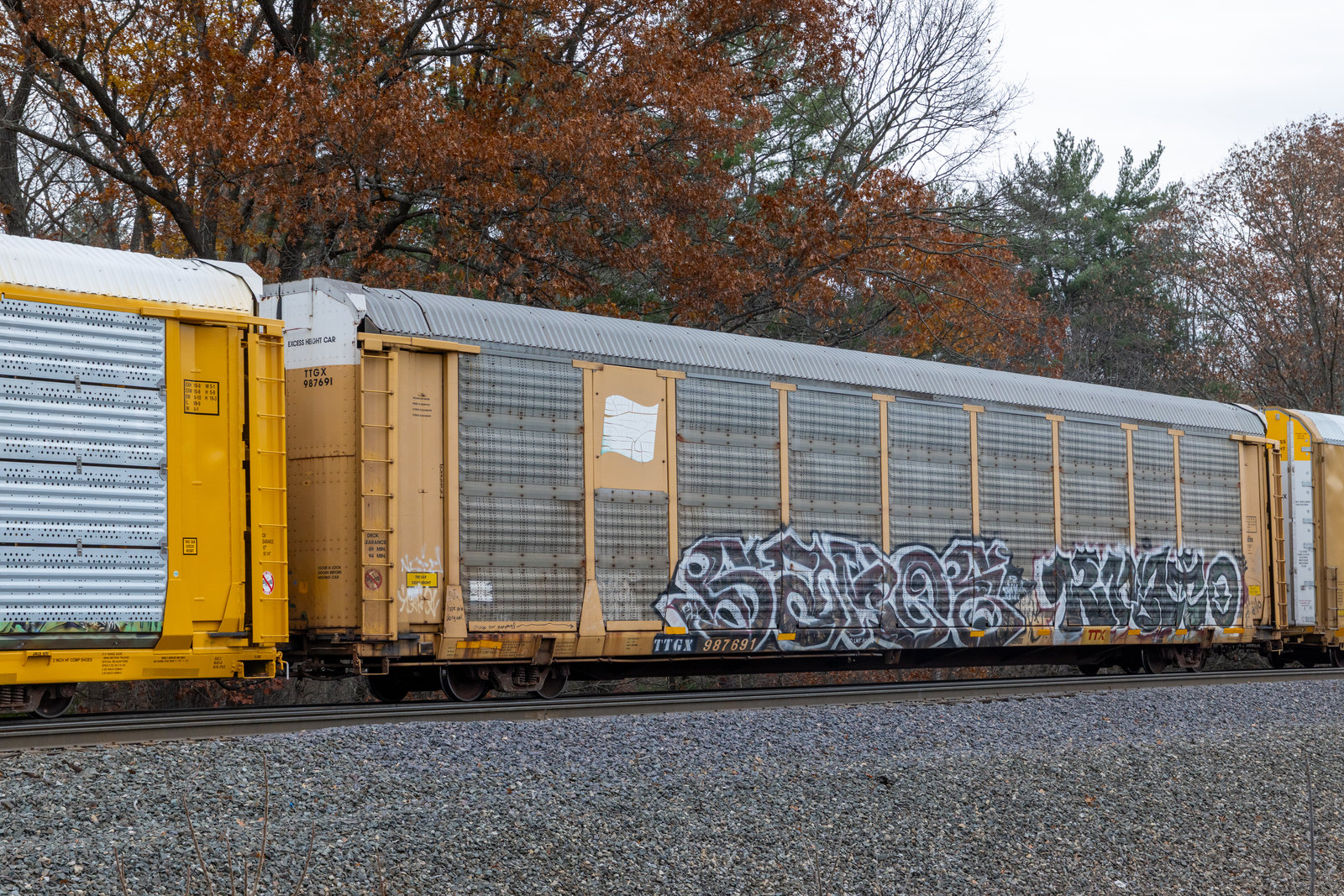 TTGX 987691